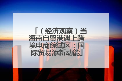 （经济观察）当海南自贸港遇上跨境电商综试区：国际贸易添新动能